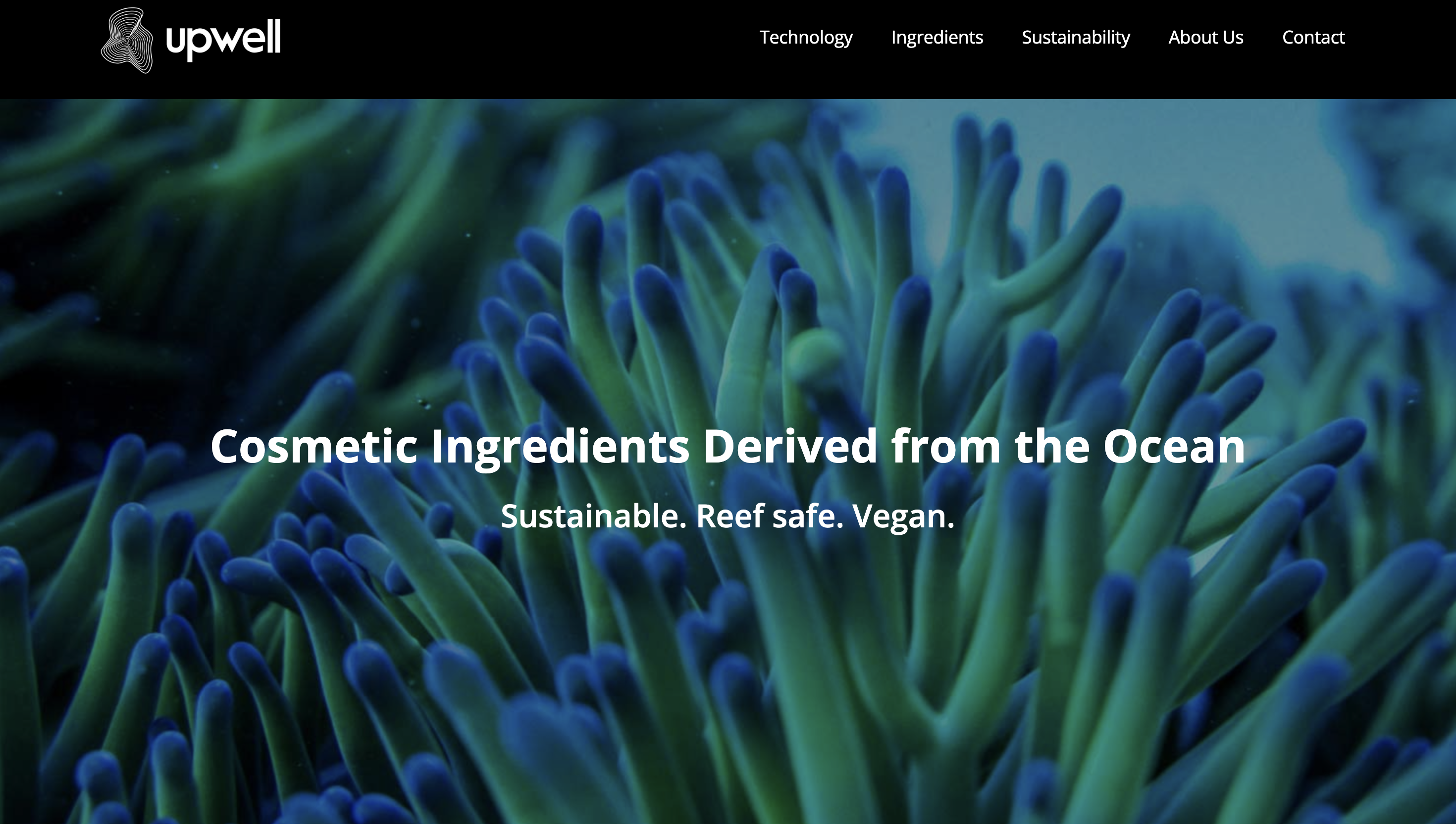 Upwell Extracts Wax from Microalgae as a Potential Alternative to Petroleum and Animal-based Waxes in Beauty Products