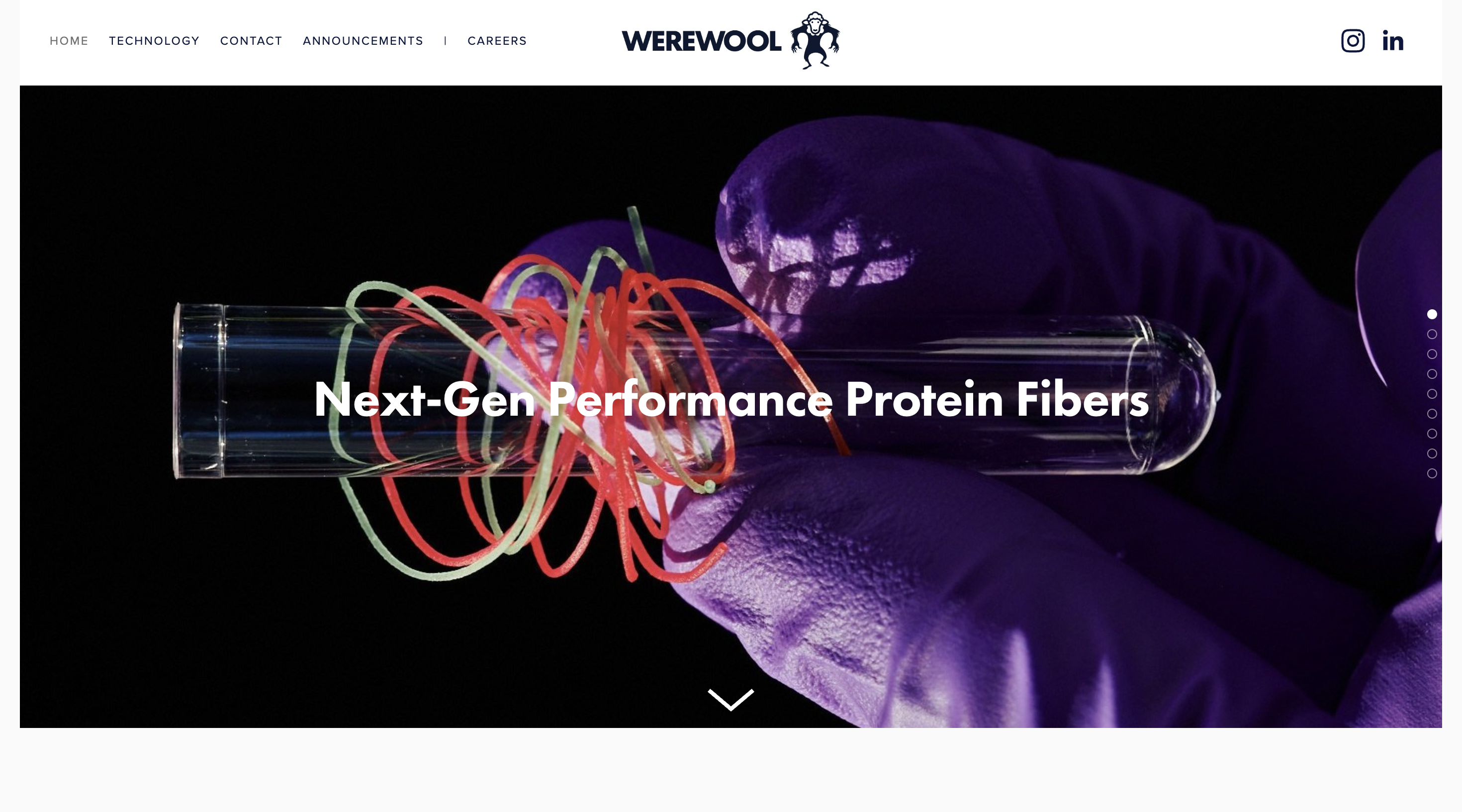 Protein Fiber Startup Werewool Raises $3.7 Million in Seed Funding