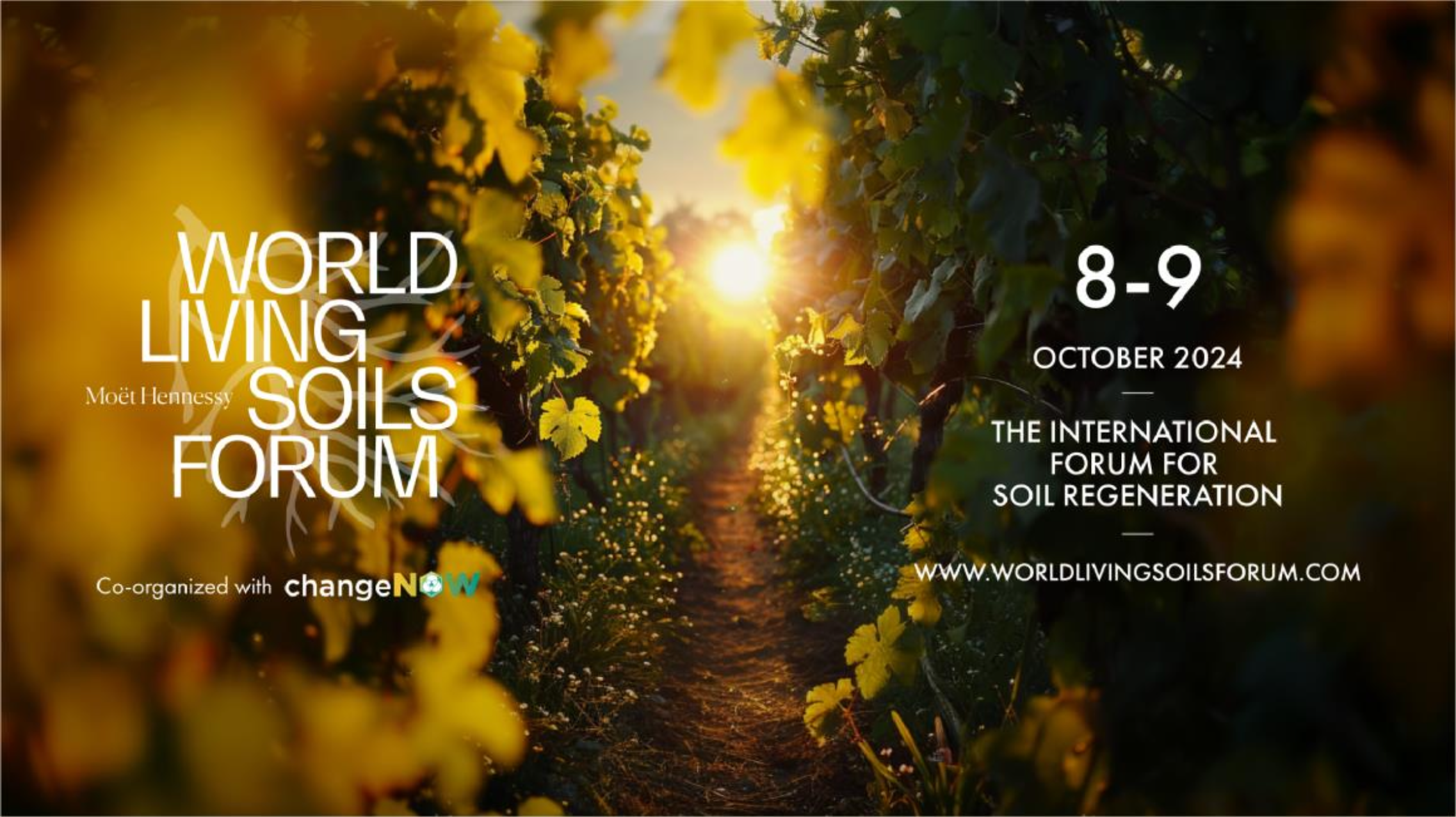 Arles to Yinchuan: Moët Hennessy Brings Sustainable Event to China for the First Time