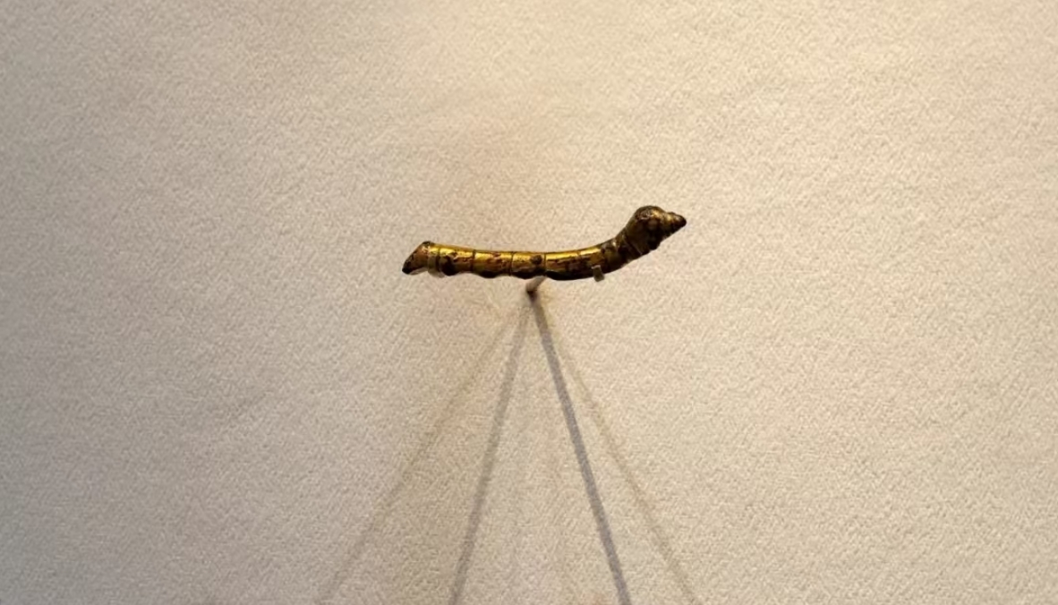 Luxe.CO Silk Culture Column | An Important Witness to the Silk Road: A 2,000-Year-Old “Golden Silkworm” from Shiquan, Shaanxi