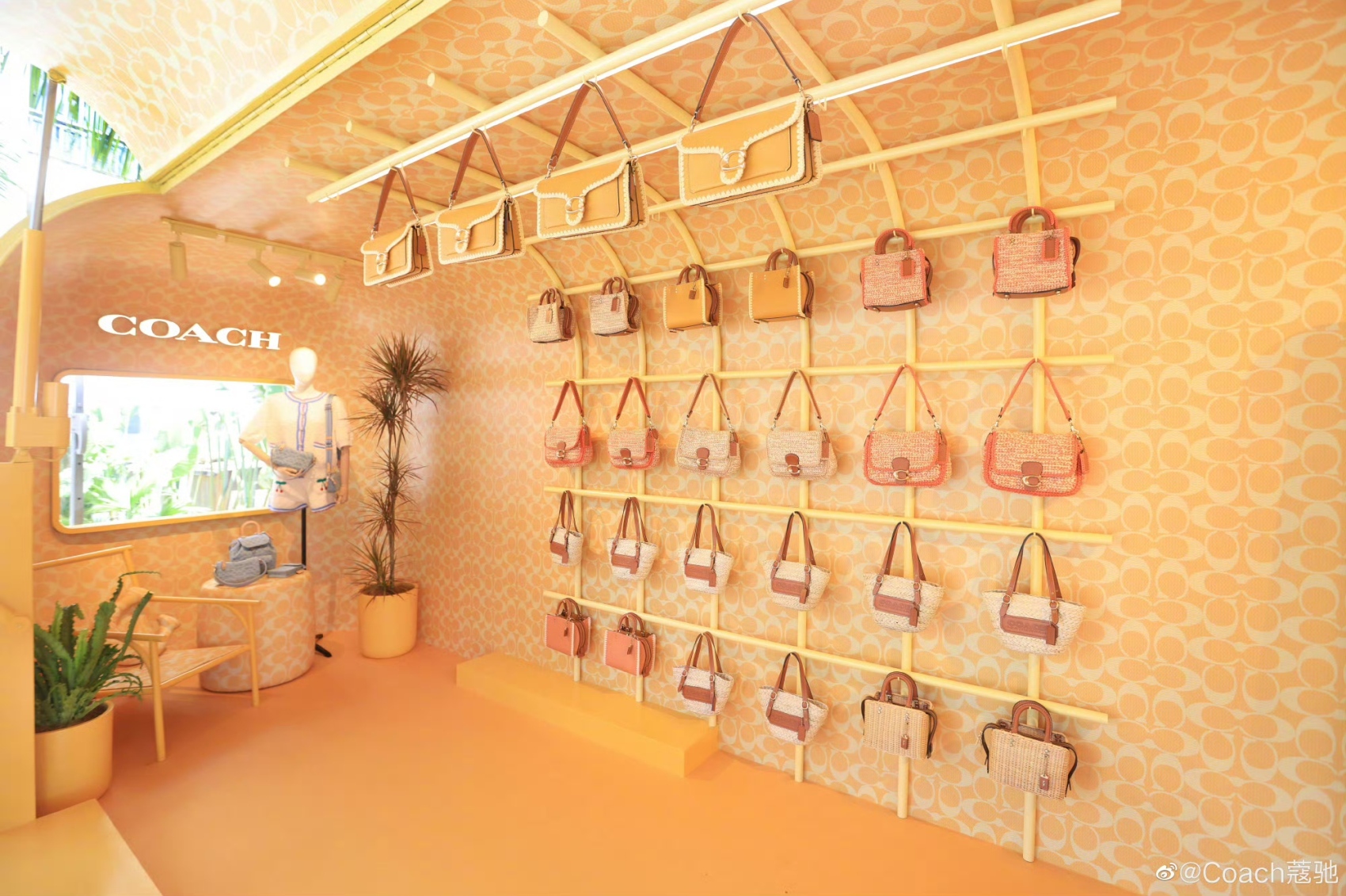 Tapestry Management: Coach Plans to Open 100 “Smaller-Format” Stores in the Chinese Mainland Over the Next Three Years